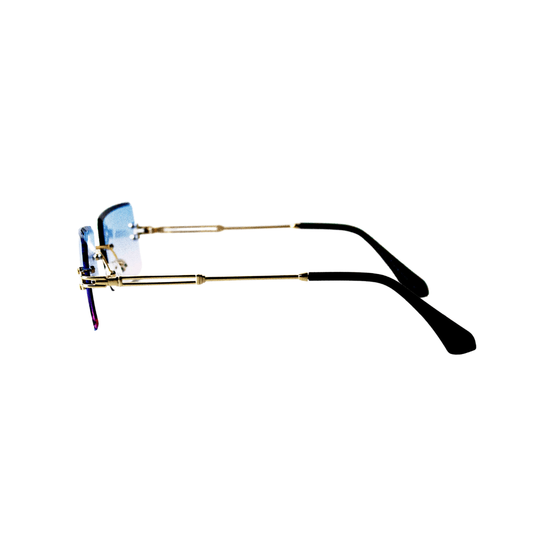 Bronx Sunset - DeepLab Store