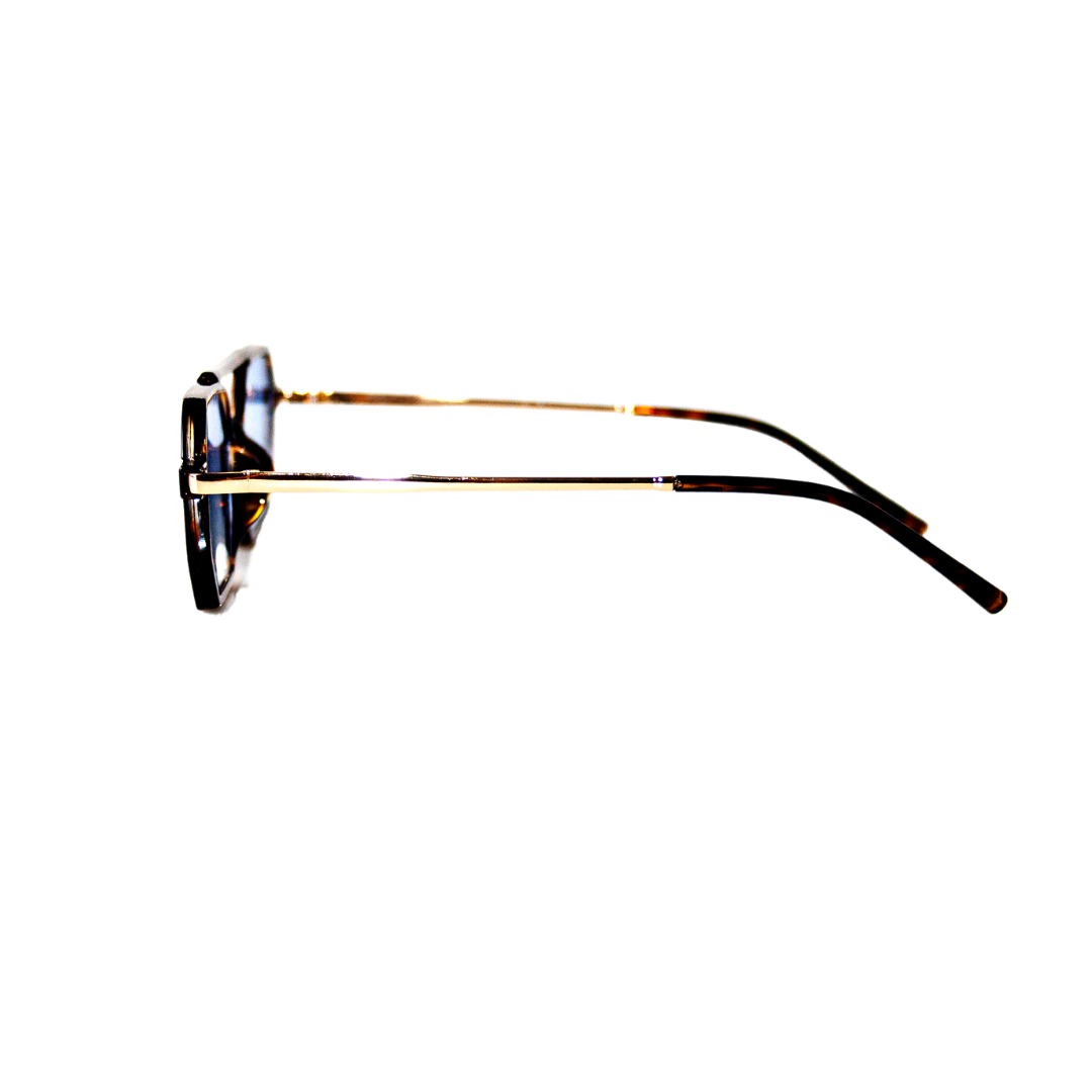 Montana Tiger Blue - DeepLab Store